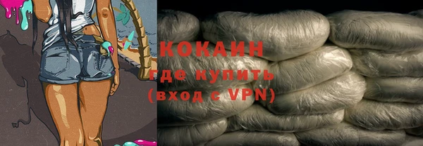 крисы Горняк