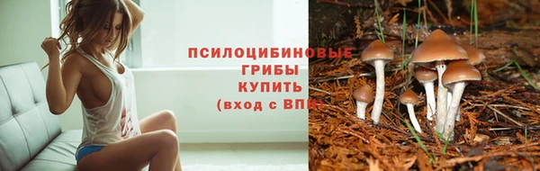 бутират Горно-Алтайск
