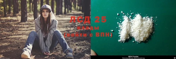 крисы Горняк