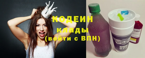 крисы Горняк