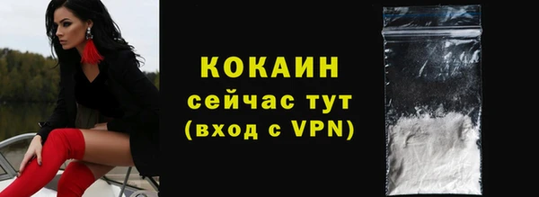 крисы Горняк