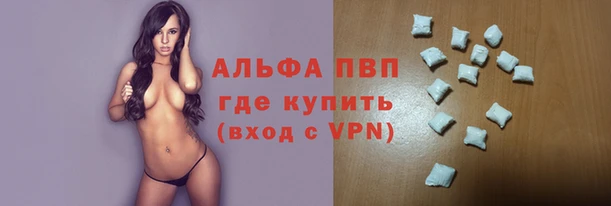 крисы Горняк