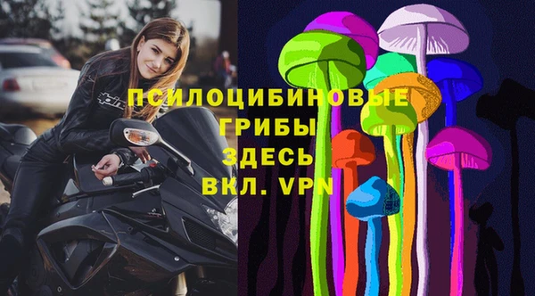 бутират Горно-Алтайск