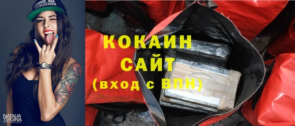 крисы Горняк